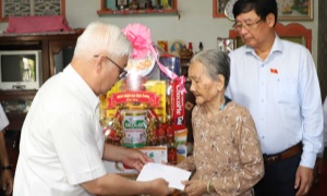 Bình Dương: Đoàn đại biểu Quốc hội tỉnh thăm Mẹ Việt Nam Anh hùng ở xã Thạnh Hội, TP. Tân Uyên